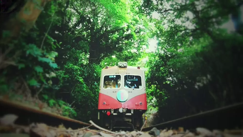 日本の鉄道にまつわる、あこがれの絶景2選｜TBSテレビ