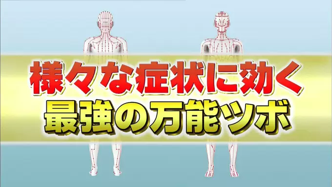 鍼灸師直伝 肩こり 頭痛 目の疲れ 不眠 自分で簡単に押せるツボ ベスト5 ジョブチューン Tbsテレビ