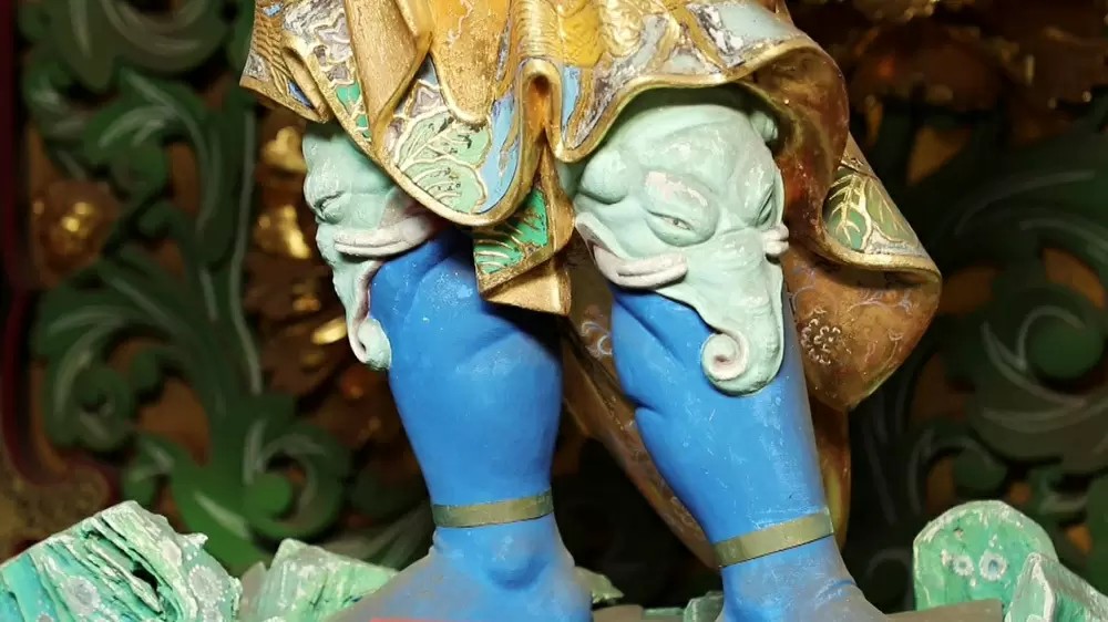 ひざこぞう という言葉の由来は ゾウ に関係していた Tbsテレビ ひざこぞう という言葉の由来は ゾウ に関係していた Tbsテレビ