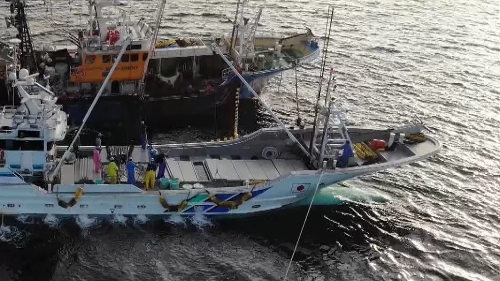 Aiが魚のいる場所を当てる スマート漁業 がすごい Tbsテレビ Aiが魚のいる場所を当てる スマート漁業 がすごい Tbsテレビ