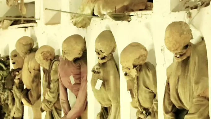 なんだこれ ミイラが数千体眠るミステリースポット Tbsテレビ