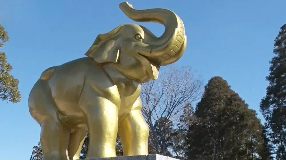 ゾウを撫でて宝くじに当選 変わったお寺 神社2つ Tbsテレビ