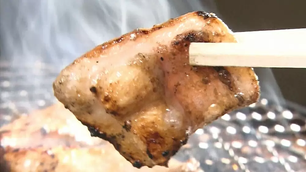 超希少部位“テッポウ”を使った「塩ホルモン」が美味しすぎ｜TBSテレビ