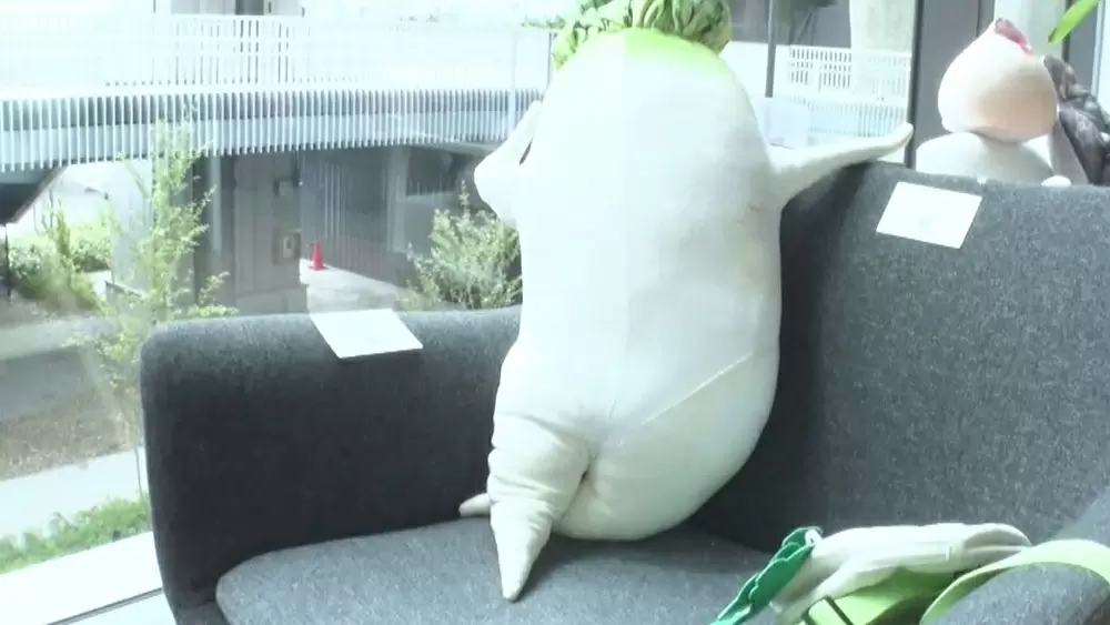 セクシー大根抱き枕 など ユニークな商品で332億円もの年商を叩き出す会社のヒミツ Tbsテレビ セクシー大根抱き枕 など ユニークな商品で332億円もの年商を叩き出す会社のヒミツ Tbsテレビ