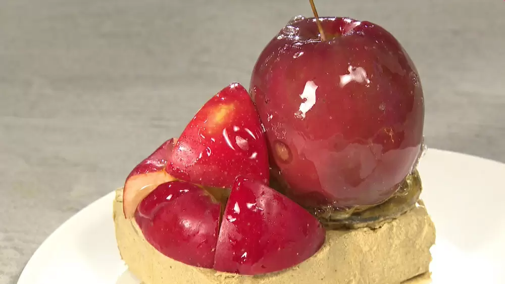 あえて焼かない 衝撃の 生チーズケーキ が美味すぎる Tbsテレビ