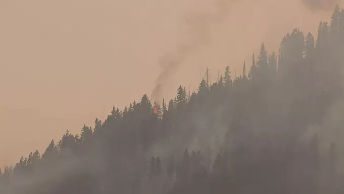 世界遺産なのに約40 が山火事で消失した自然公園 あえて消火しなかった理由 tbsテレビ