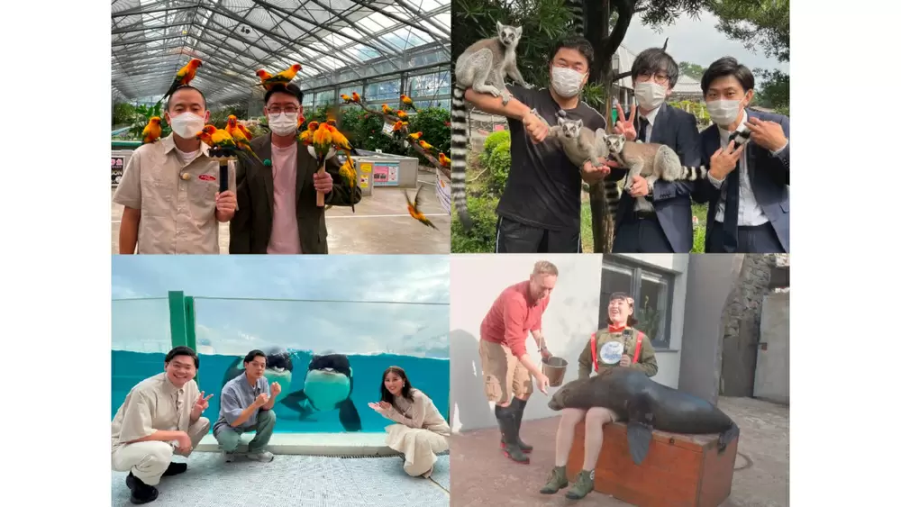 秋だ!激カワ動物に会いたいSP!『サンドウィッチマンのどうぶつ園飼育員 秋だ!激カワ動物に会いたいSP!『サンドウィッチマンのどうぶつ園飼育員