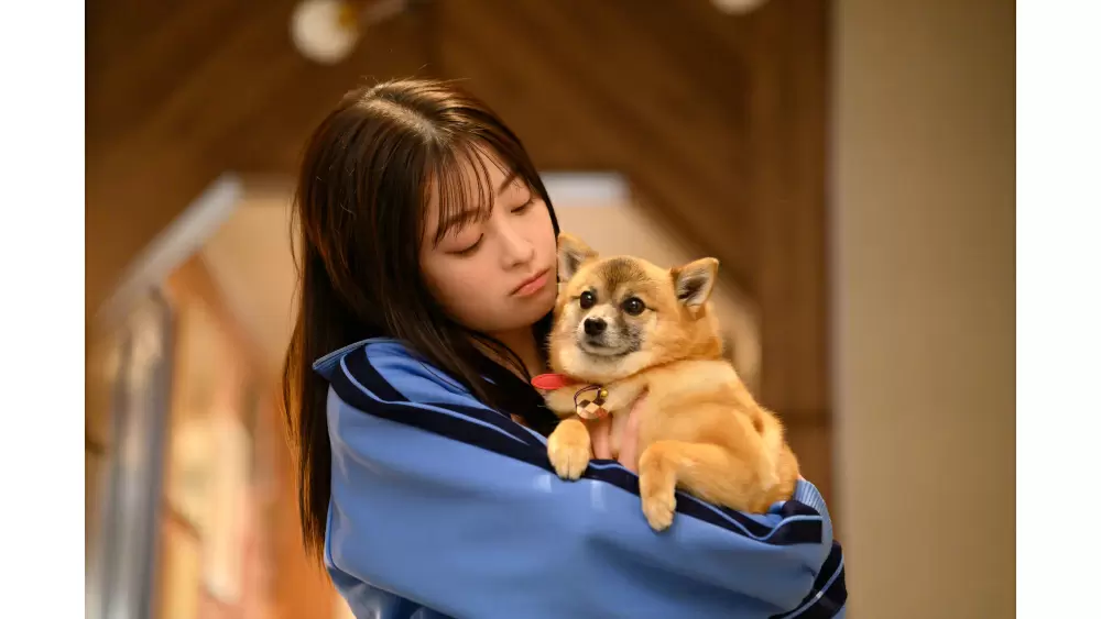 みんなから愛されるネギを大解剖！『王様に捧ぐ薬指』｜TBSテレビ