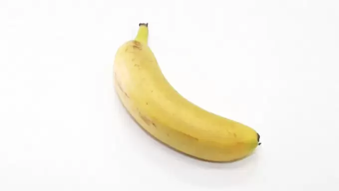 1本600円の国産バナナが一週間で1000本売れる 驚きの秘密とは つぶれない店 Tbsテレビ 1本600円の国産バナナが一週間で1000本売れる 驚きの秘密とは つぶれない店 Tbsテレビ