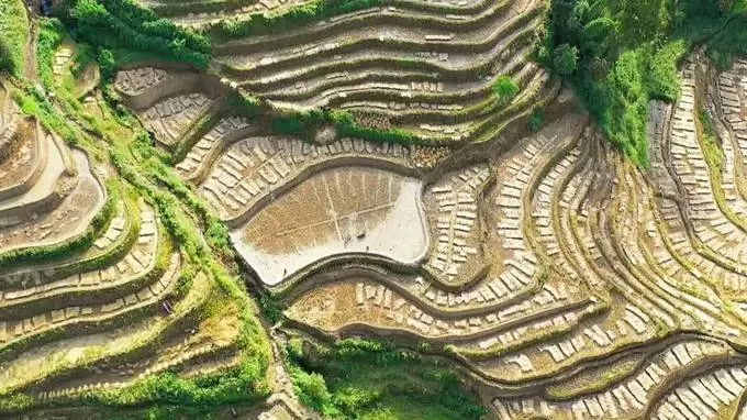 驚くべき絶景 1200年かけて作られた 世界最大の棚田 世界遺産 Tbs