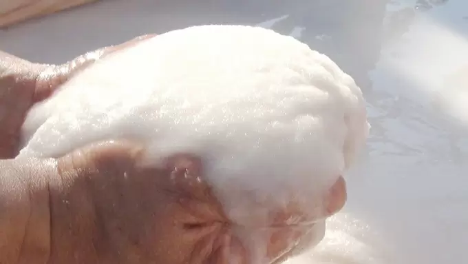 1kgで100万円の「オーダーメイド塩」⁉ 世界で10人以下、塩職人の技術が