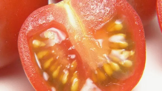 ちょっとの工夫で美味しさや栄養を保てるトマトの豆知識 Tbsテレビ ちょっとの工夫で美味しさや栄養を保てるトマトの豆知識 Tbsテレビ