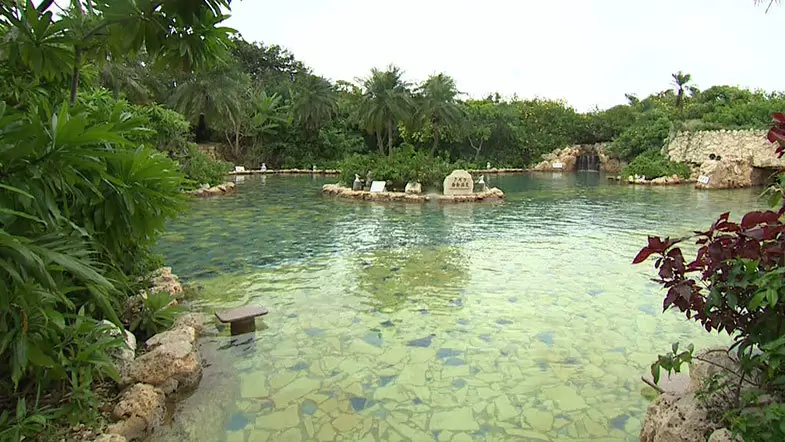 これ温泉？ まるでジャングルのような水着で入れる温泉