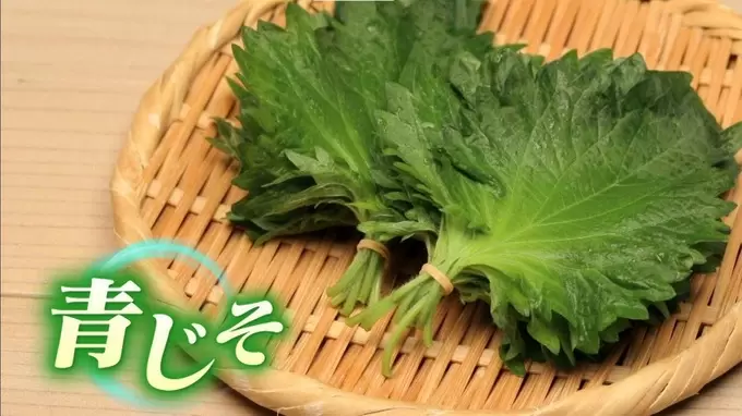 青じそパワー じつは栄養が豊富で血管の老化防止にもよい青じその魅力 Tbsテレビ 青じそパワー じつは栄養が豊富で血管の老化防止にもよい青じその魅力 Tbsテレビ