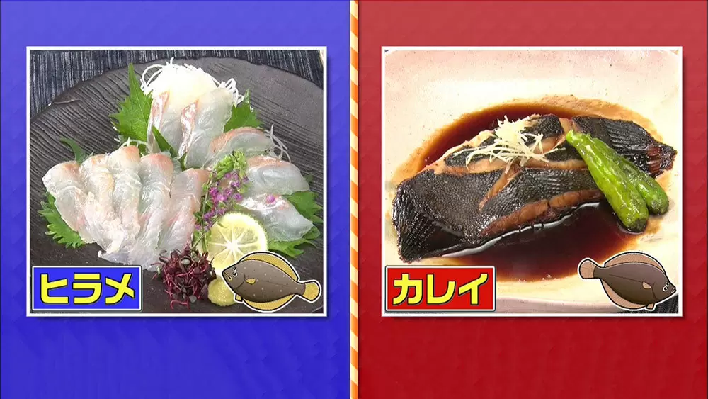 ヒラメ と カレイ 似ているのに カレイの刺身 を見ないのはなぜ この差って何ですか Tbsテレビ ヒラメ と カレイ 似ているのに カレイの刺身 を見ないのはなぜ この差って何ですか Tbsテレビ