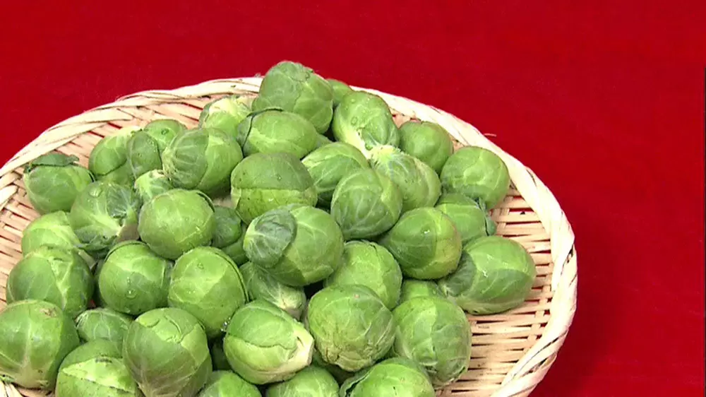 衝撃 芽キャベツの意外すぎる育ち方とは この差って何ですか Tbsテレビ 衝撃 芽キャベツの意外すぎる育ち方とは この差って何ですか Tbsテレビ