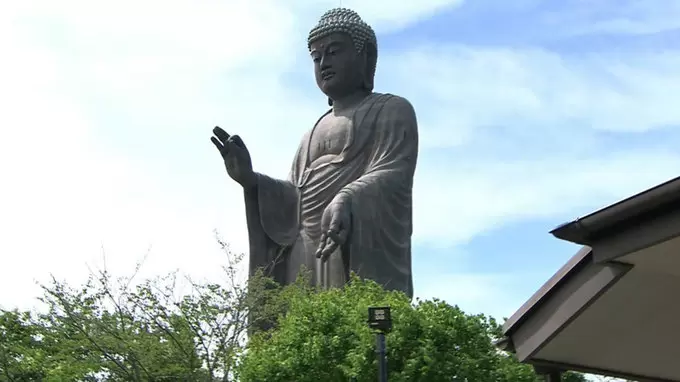 あの大きすぎる 牛久大仏 のお膝元では小さな に会える Tbsテレビ あの大きすぎる 牛久大仏 のお膝元では小さな に会える Tbsテレビ