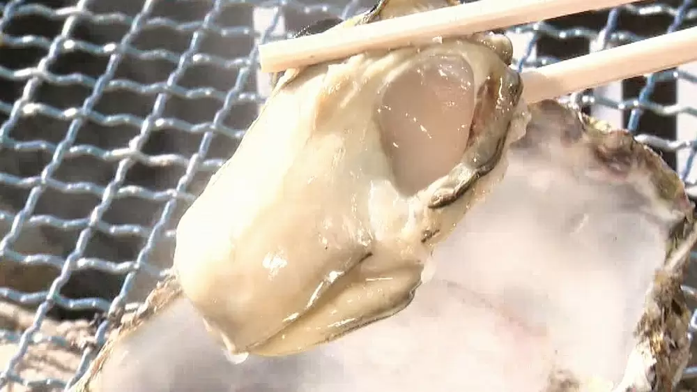 感動の美味しさ！「プレミアム牡蠣」と「バージンオイスター」