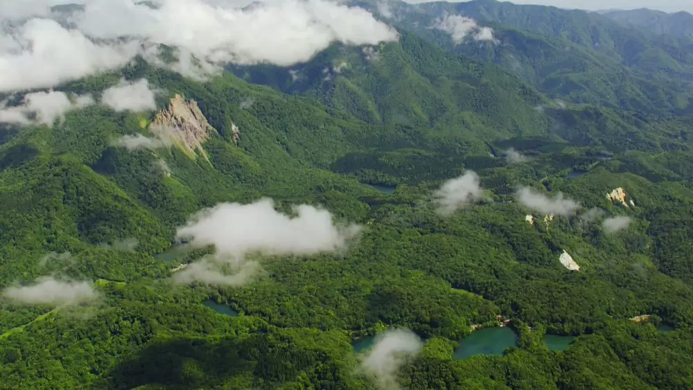 世界遺産 白神山地 山の中で 貝の化石 が見つかっていた Tbs世界遺産 Tbsテレビ 世界遺産 白神山地 山の中で 貝の化石 が見つかっていた Tbs世界遺産 Tbsテレビ