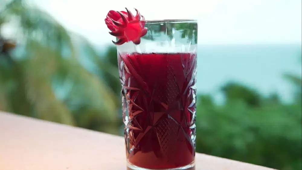 南国の花から作った 美肌に効くジュース とは 世界ふしぎ発見 Tbsテレビ 南国の花から作った 美肌に効くジュース とは 世界ふしぎ発見 Tbsテレビ