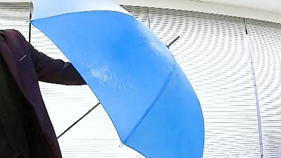雨水を弾く力が復活。「傘」を快適に使う雑学2選