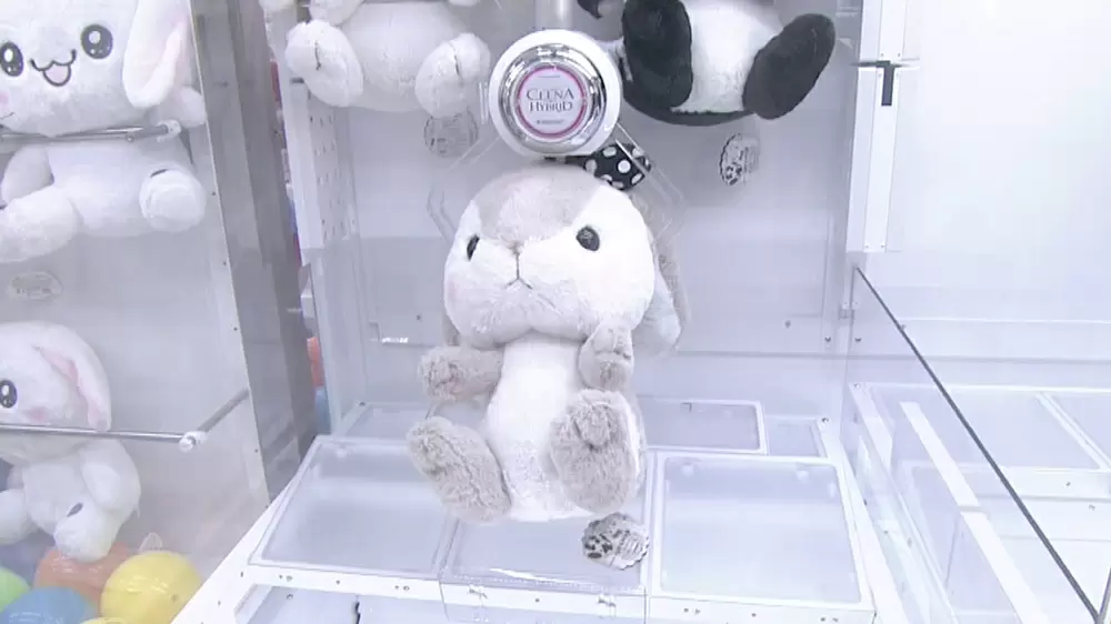 台の種類別に解説 景品が取れやすくなるクレーンゲームのコツ Tbsテレビ 台の種類別に解説 景品が取れやすくなるクレーンゲームのコツ Tbsテレビ