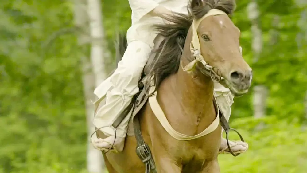 もともと日本に 馬 はいなかったらしい どこから来たの Tbsテレビ