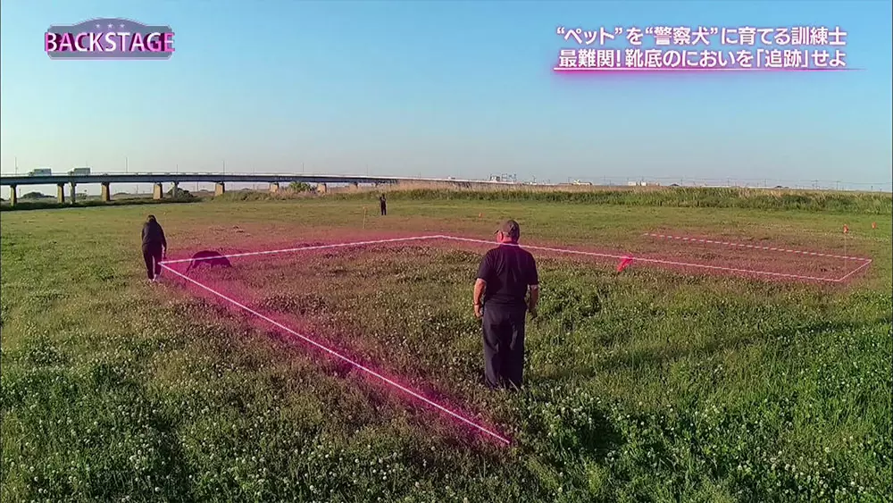警察犬の約90 はペット 警察犬になるための訓練がすごい Backstage Tbsテレビ