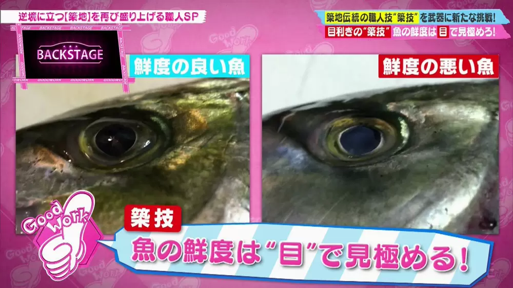 築地直伝 新鮮な魚を見分ける方法 教えます Tbsテレビ 築地直伝 新鮮な魚を見分ける方法 教えます Tbsテレビ