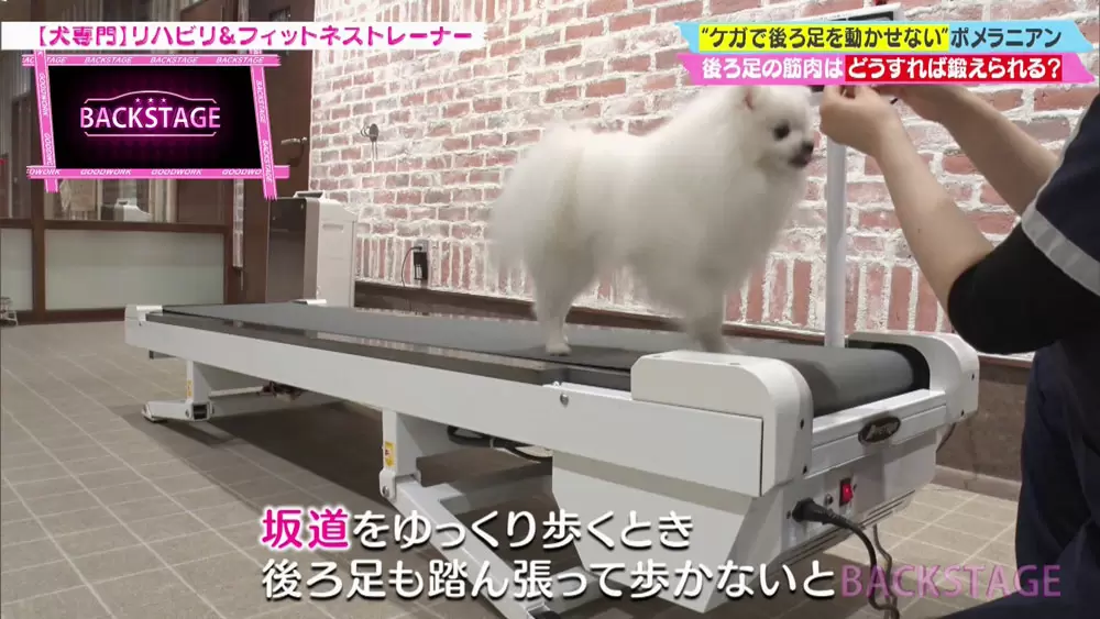 ルームランナー