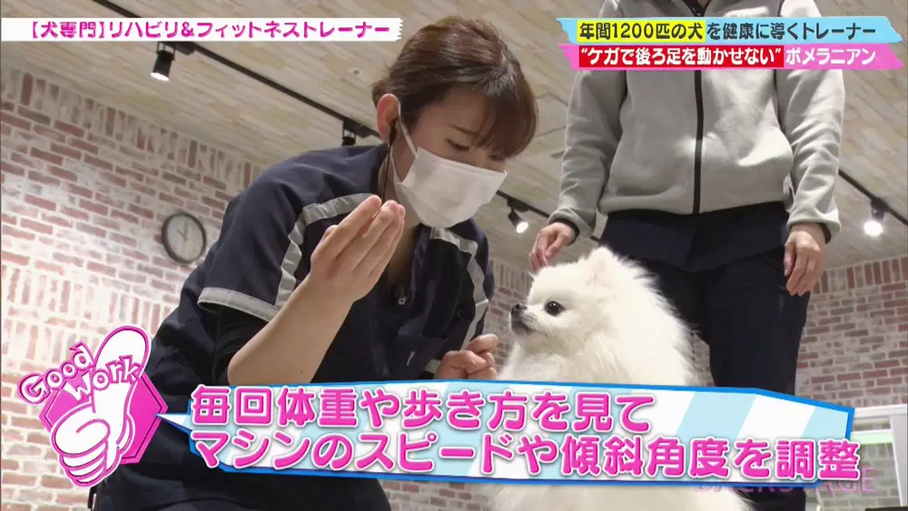 犬をよく観察するのが大事