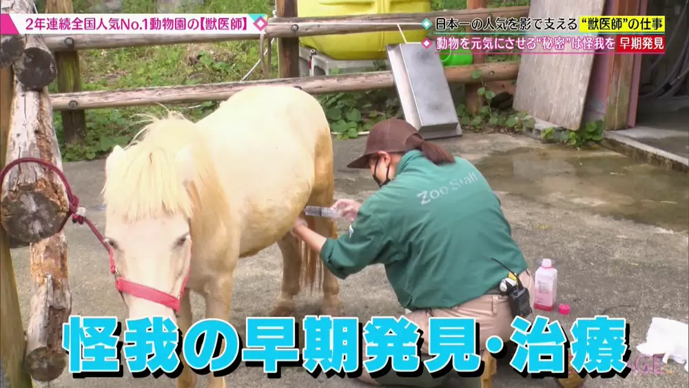 全国人気no 1の動物園 で働く 獣医さんのお仕事に密着 Tbsテレビ
