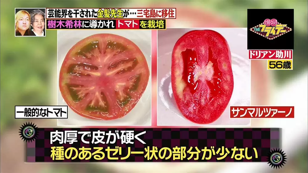 元金髪ロックミュージシャン 野菜づくりに没頭 Tbsテレビ 元金髪ロックミュージシャン 野菜づくりに没頭 Tbsテレビ