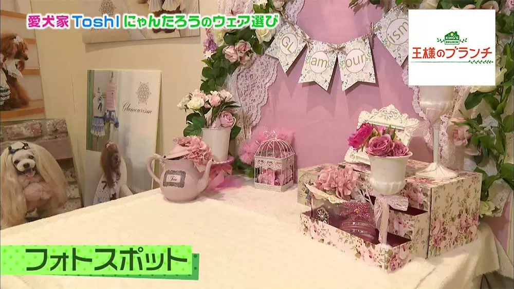 Toshlの愛犬にゃんたろうがカワイすぎる お台場で一緒にお買い物 王様のブランチ Tbsテレビ Toshlの愛犬にゃんたろうがカワイすぎる お台場で一緒にお買い物 王様のブランチ Tbsテレビ