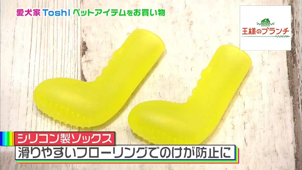 Toshlの愛犬にゃんたろうがカワイすぎる お台場で一緒にお買い物 王様のブランチ Tbsテレビ Toshlの愛犬にゃんたろうがカワイすぎる お台場で一緒にお買い物 王様のブランチ Tbsテレビ