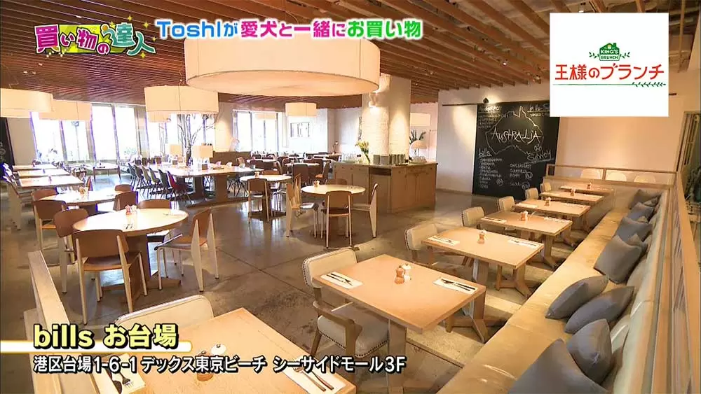 Toshlの愛犬にゃんたろうがカワイすぎる お台場で一緒にお買い物 王様のブランチ Tbsテレビ Toshlの愛犬にゃんたろうがカワイすぎる お台場で一緒にお買い物 王様のブランチ Tbsテレビ