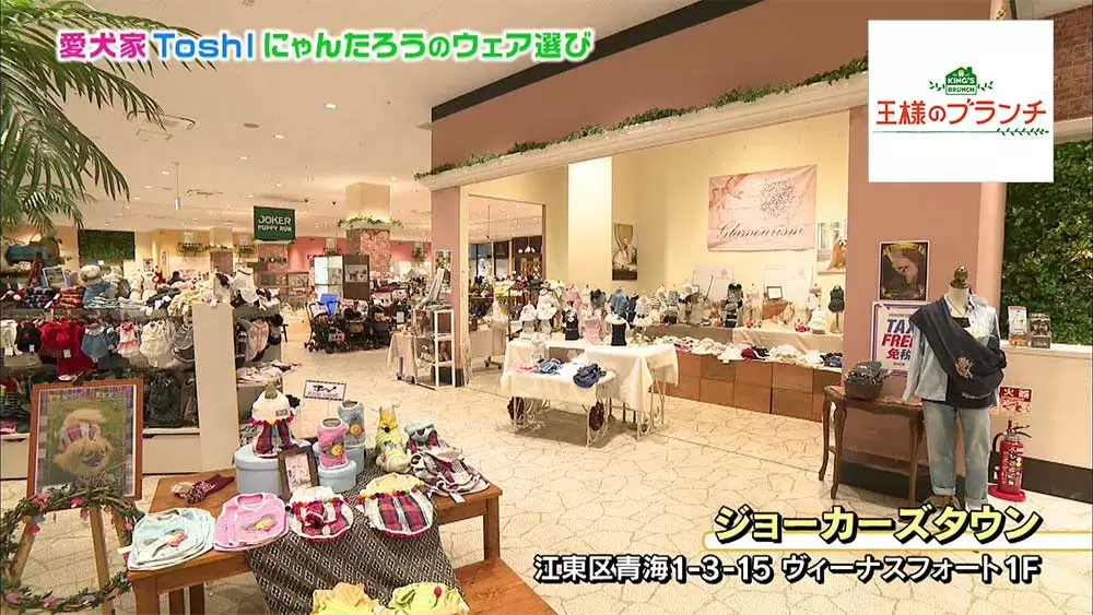 Toshlの愛犬にゃんたろうがカワイすぎる お台場で一緒にお買い物 王様のブランチ Tbsテレビ Toshlの愛犬にゃんたろうがカワイすぎる お台場で一緒にお買い物 王様のブランチ Tbsテレビ