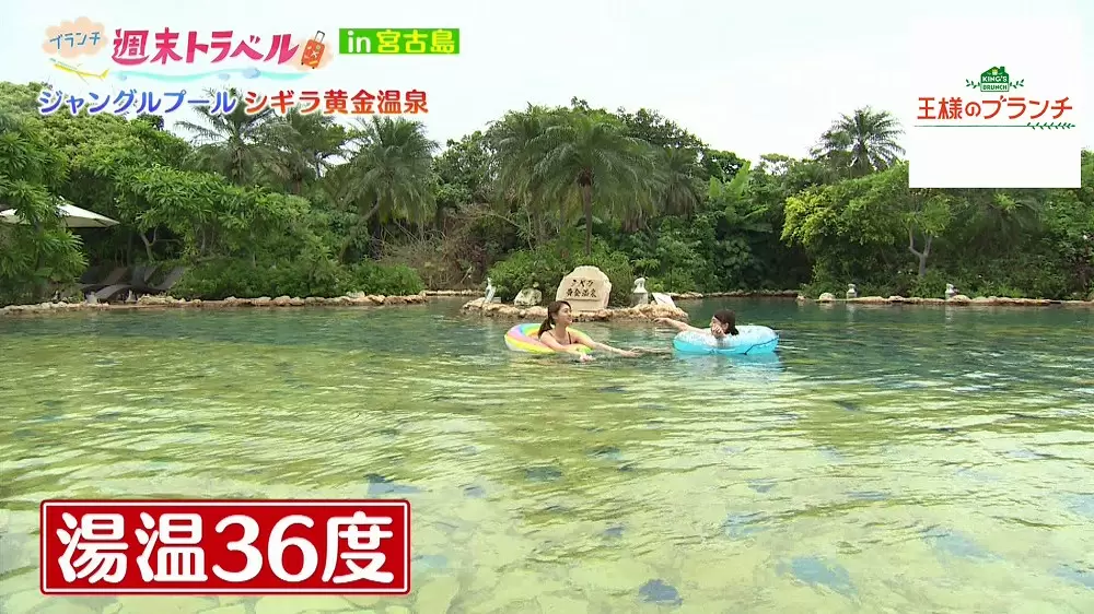これ温泉 まるでジャングルのような水着で入れる温泉 王様のブランチ tbsテレビ