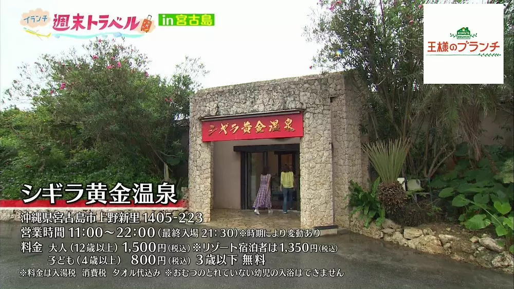 これ温泉 まるでジャングルのような水着で入れる温泉 王様のブランチ tbsテレビ