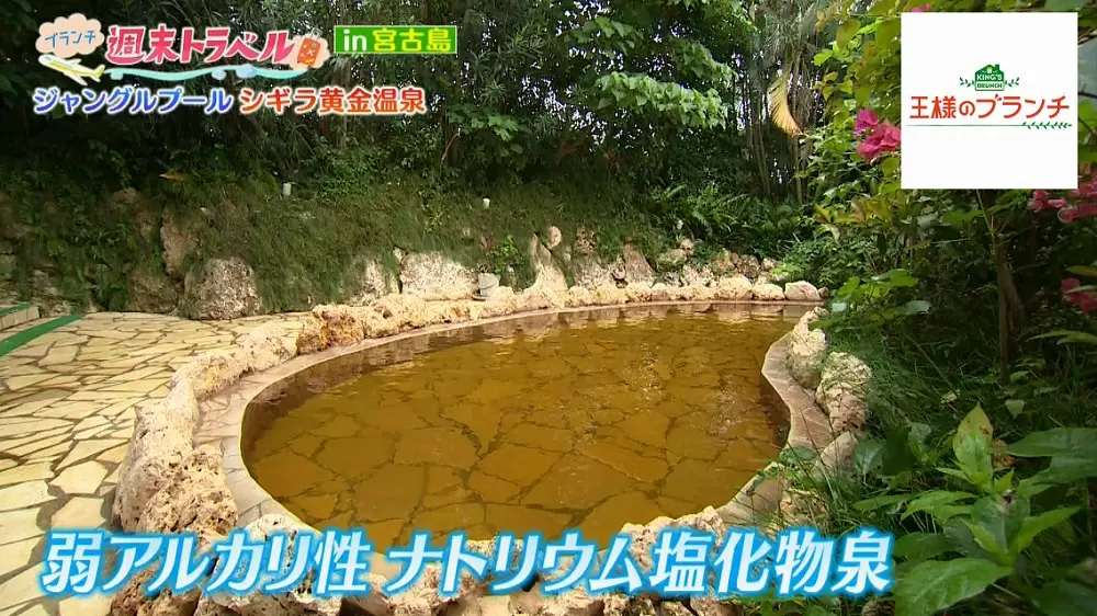 これ温泉 まるでジャングルのような水着で入れる温泉 王様のブランチ tbsテレビ