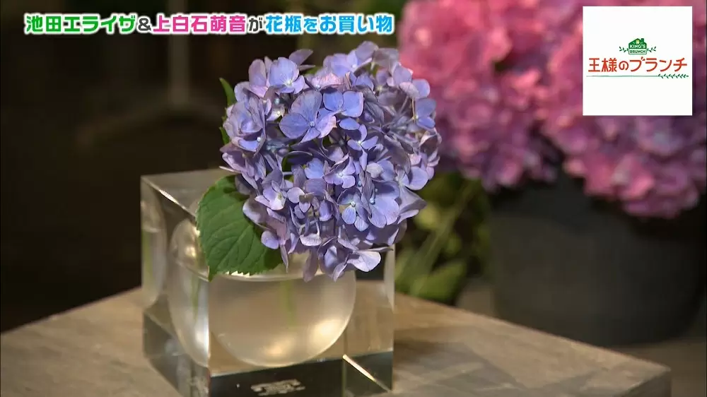 おしゃれ花瓶 デスクランプでお部屋をワンランクアップ 王様のブランチ Tbsテレビ おしゃれ花瓶 デスクランプでお部屋をワンランクアップ 王様のブランチ Tbsテレビ