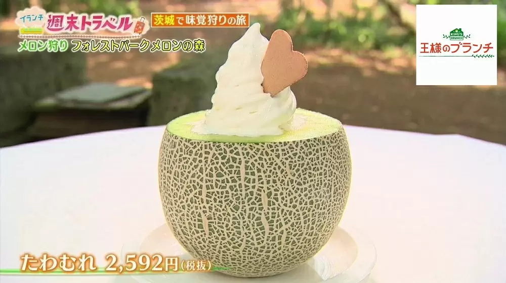 メロン好き必見 メロン1個からたった1つしか作れない究極スイーツ 王様のブランチ Tbsテレビ