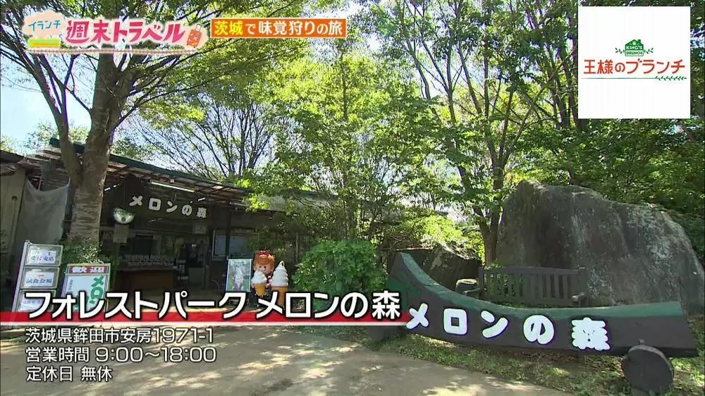 メロン好き必見 メロン1個からたった1つしか作れない究極スイーツ 王様のブランチ Tbsテレビ