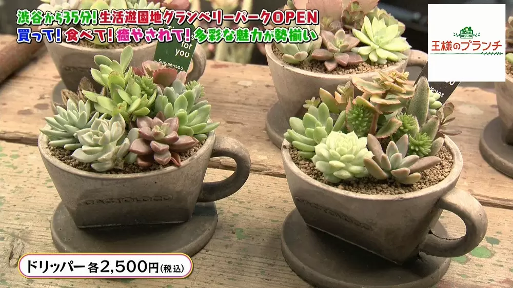 「ドリッパー」