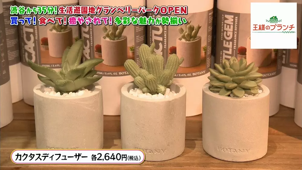 「カクタスディフューザー」