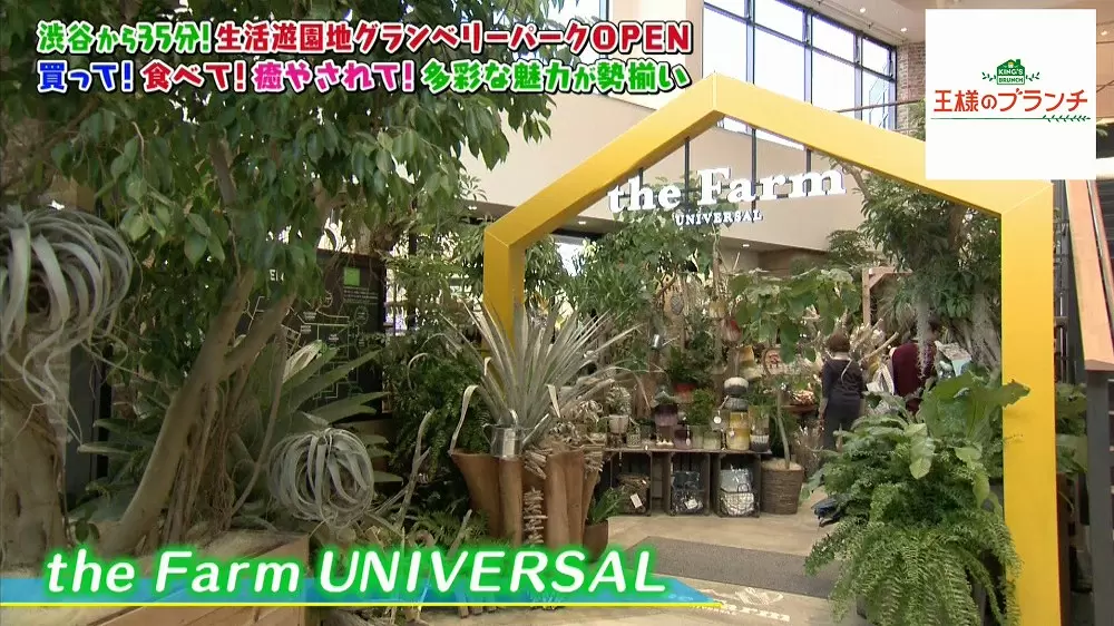 「the Farm UNIVERSAL」