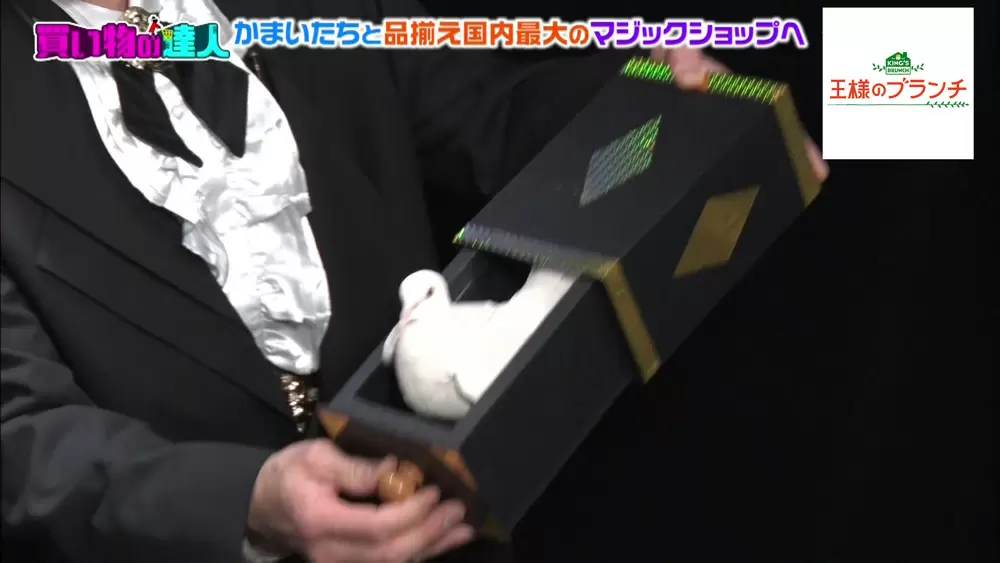 引き出し箱から鳩が…!
