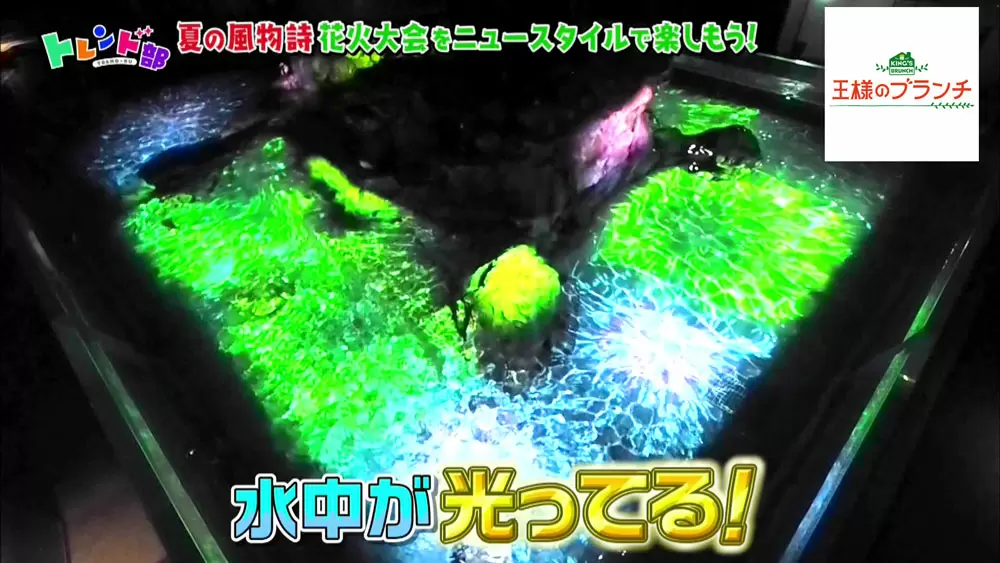 花火が水族館に ニュースタイルの ペンギン花火 とは Tbsテレビ 花火が水族館に ニュースタイルの ペンギン花火 とは Tbsテレビ