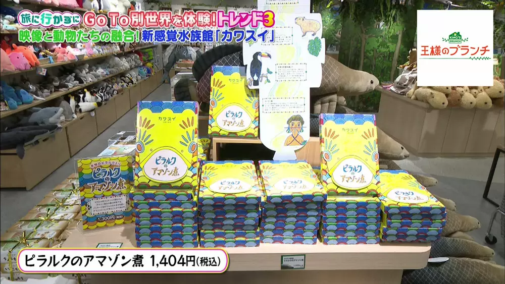 ピラルクのアマゾン煮「箱」 【公式通販】