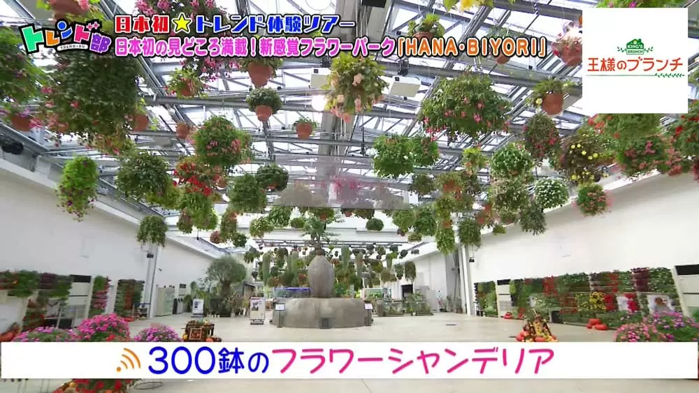 観客の感情でエンディングが変わる映像演出も 新感覚フラワーパーク がスゴい Tbsテレビ